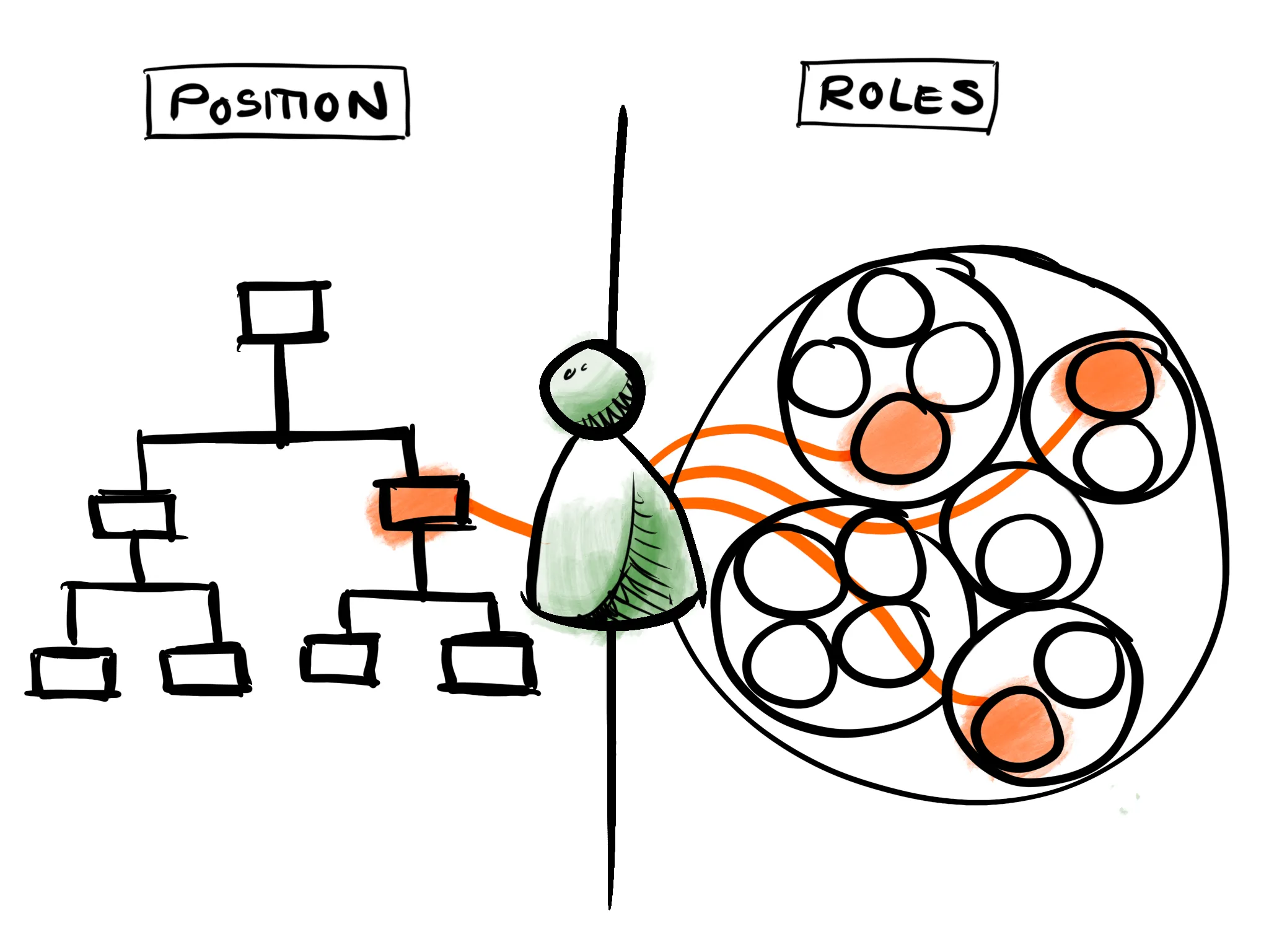 In a position-based organisation, an individual is situated in one position in the pyramid. In a role-based organisation, that same individual may instead hold roles on different teams across the entire organisation.