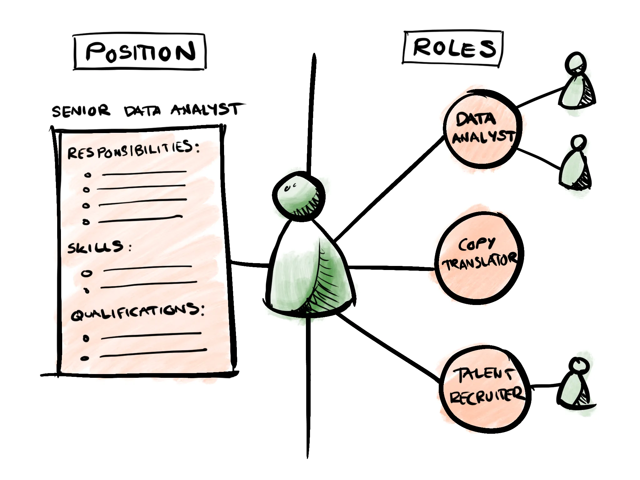 In a position-based organisation, each individual has only one job position (Senior Data Analyst), whereas in a role-based organisation, individuals are represented by their role portfolio (Data Analyst, Copy Translator, Talent Recruiter). Each role can also be held by multiple people.