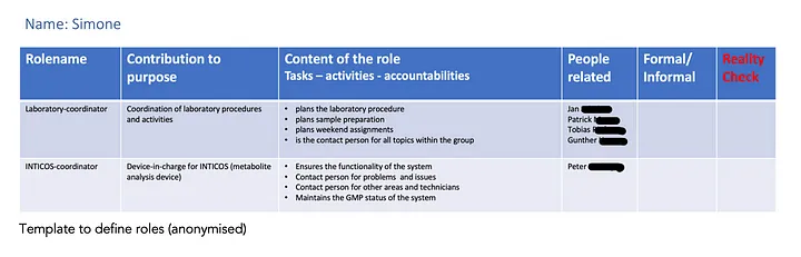 Template to define roles (anonymised)