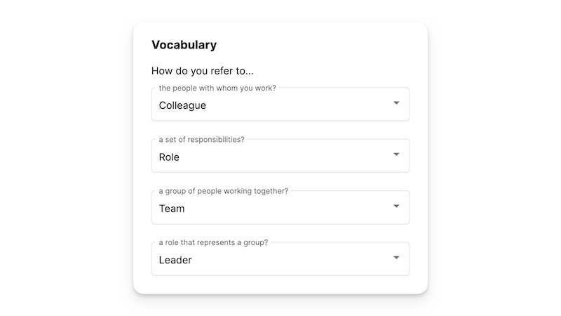 Peerdom screenshot of the vocabulary settings